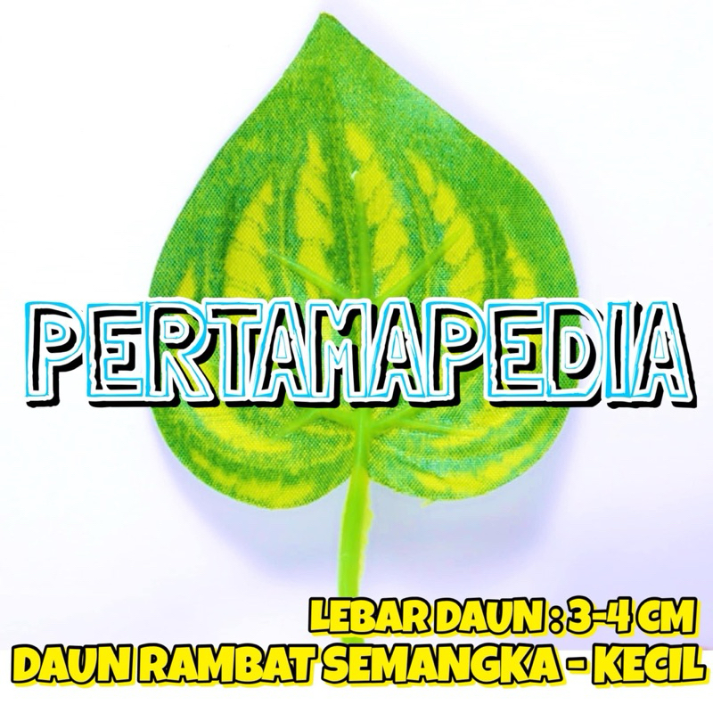 SATUAN RAMBAT KECIL 1 METER ATAU 2 METER/ Daun Rambat Plastik/ Bunga Plastik/ Rumput Plastik/ Busa B
