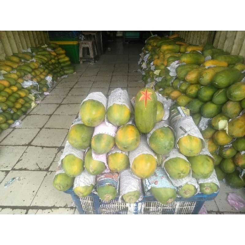 

BUAH PEPAYA CALIFORNIA HARGA /KILO