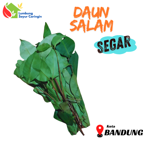 

Daun Salam Segar 1 Ikat Bandung