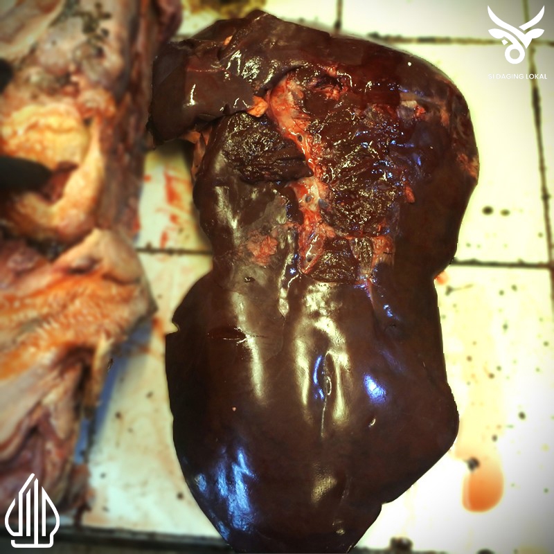 

Hati sapi lokal - 1 kg