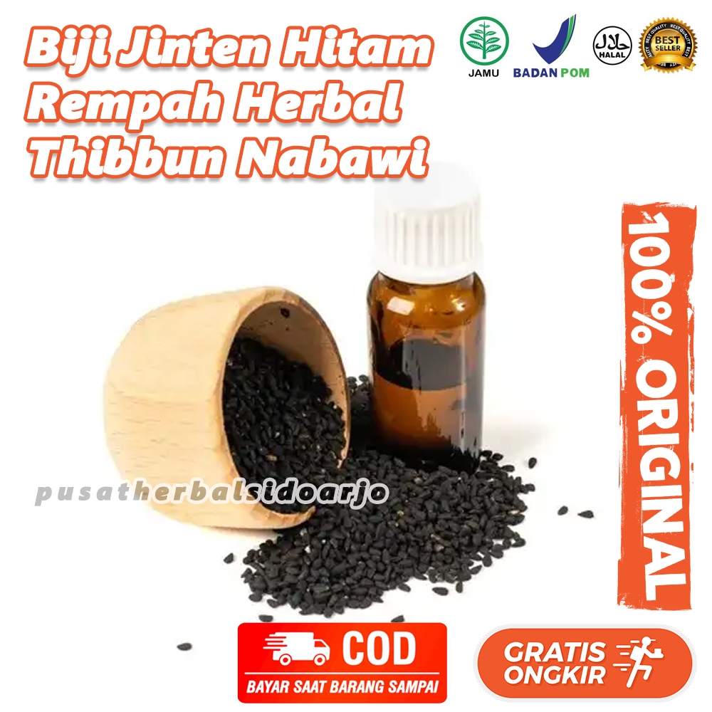 

Biji Jinten Hitam Asli 100gr Biji Habbatussauda Murni 100 gram Black Cumin Seed Nigella Sativa 100% Pure