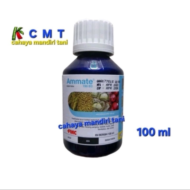 AMMATE 100ML