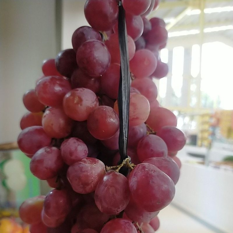 

Anggur Merah 1kg