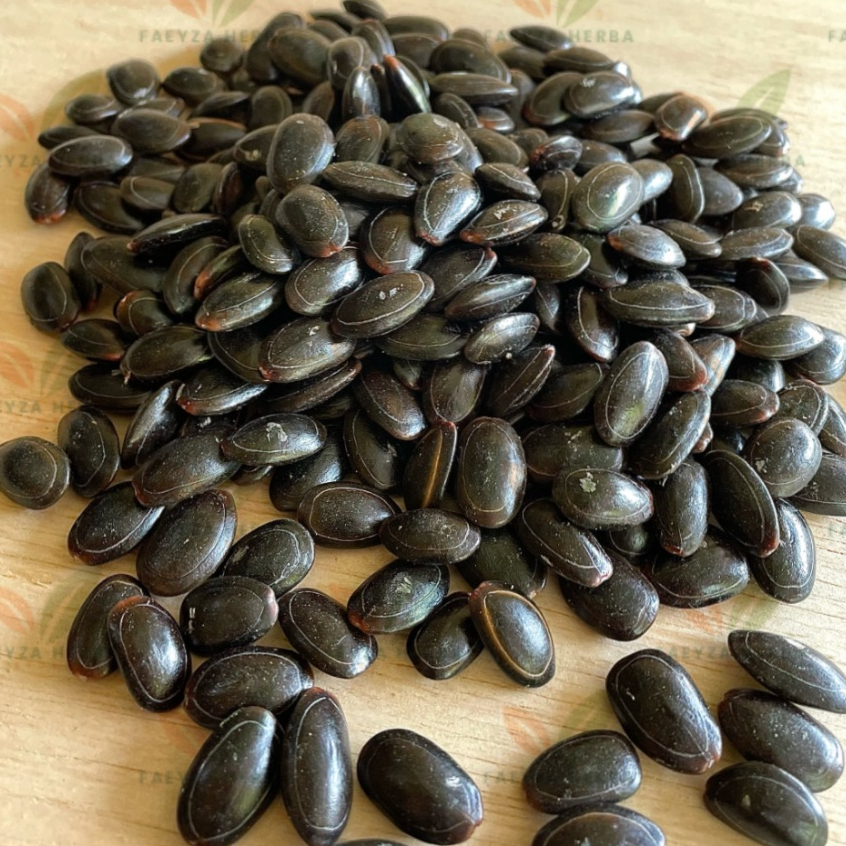 

Biji Kedaung Kering 250gr - Biji Kedawung Kering - Biji Dawung
