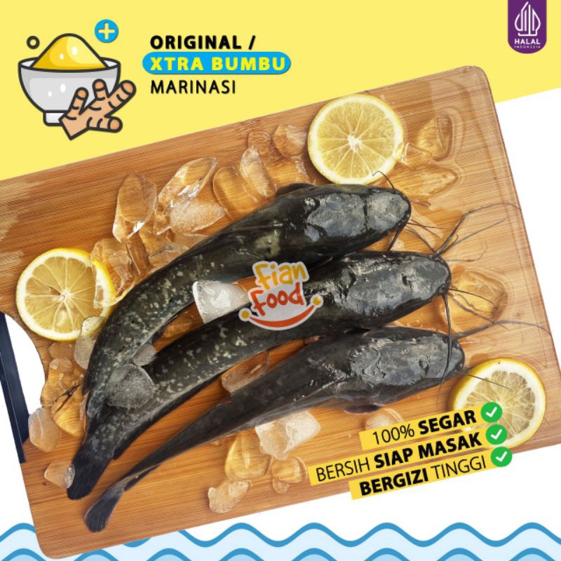 

Lele segar 500gr kemasan vacuum