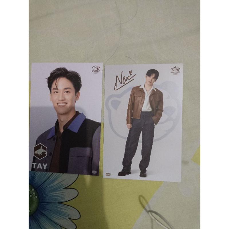 POSCARD TAYNEW POLCA THE JOURNEY