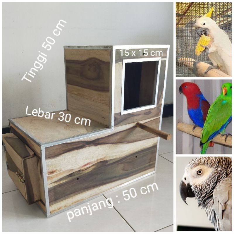 Glodok L untuk Burung Parrot Kakatua Medium Afgrey Nuri Bayan