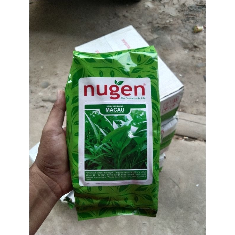 

kangkung MACAU 1kg NUGEN