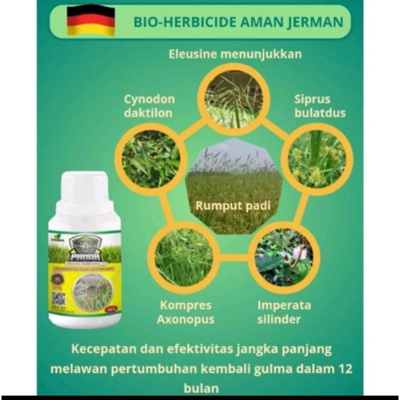 HERBISIDA PANDA PEMBASMI SEGALA JENIS GULMA