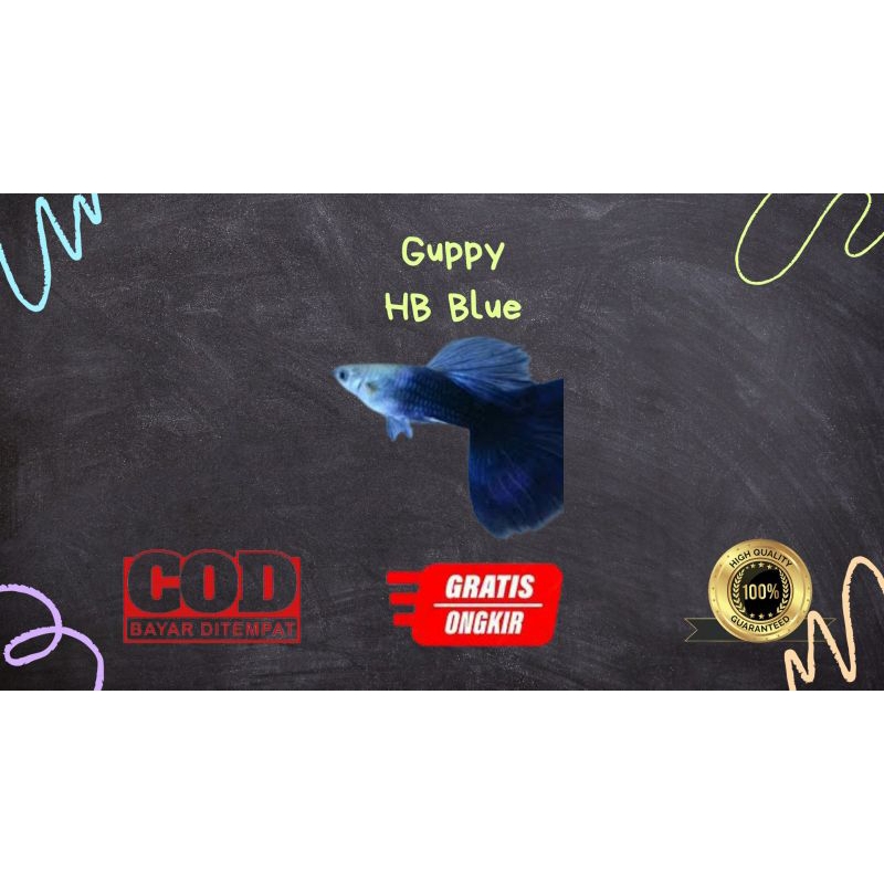 

Packing kardus / styrofoam guppy hb blue