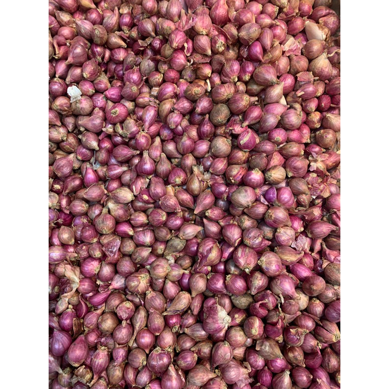 

Bawang Merah Lokal 500gr