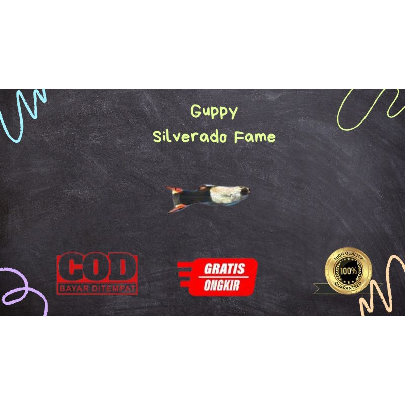 

Packing kardus / styrofoam gupp¥ sliverado bl4ck fame