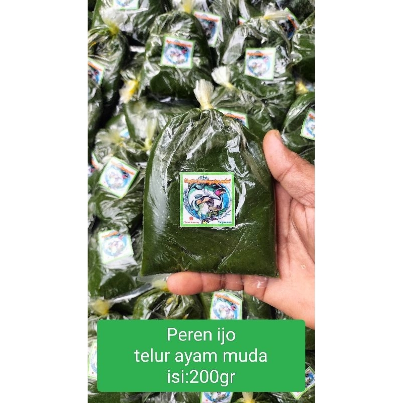 Umpan pancing siap pakai peren ijo telur ayam muda