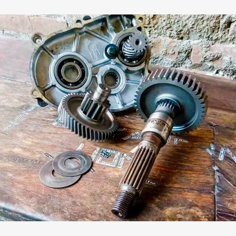 Gigi rasio Mio smile Mio soul