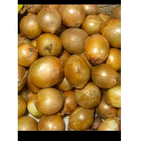 

bawang Bombay/onyon 250grm