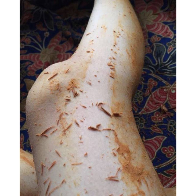 LULUR KAYU BANGKAL 1KG kadar kayu 30%