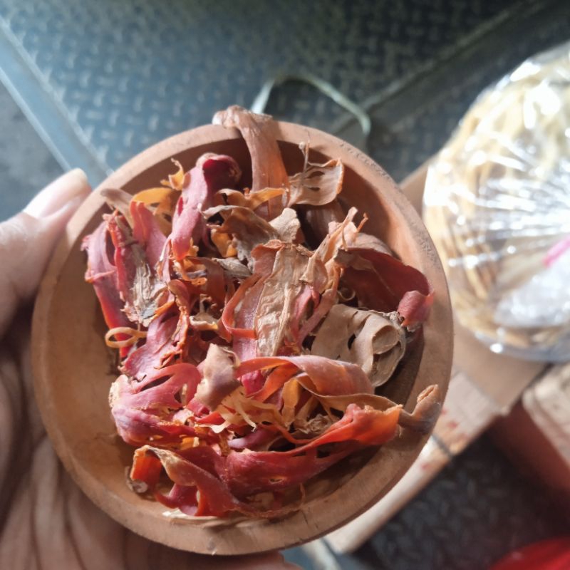

Bunga Pala / Cempra