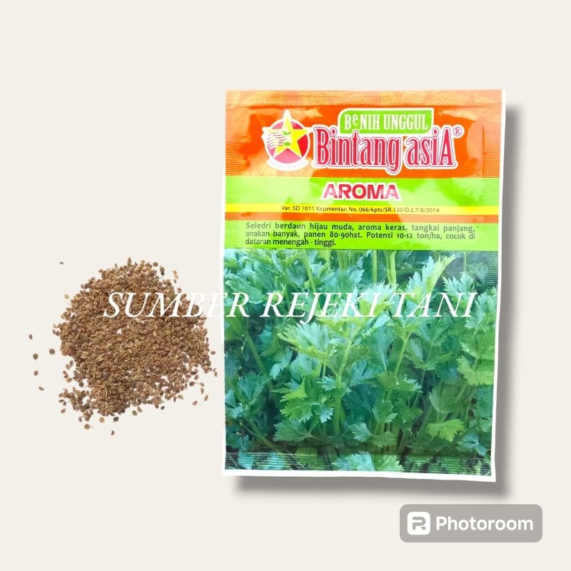 Benih Daun Seledri Aroma Repack