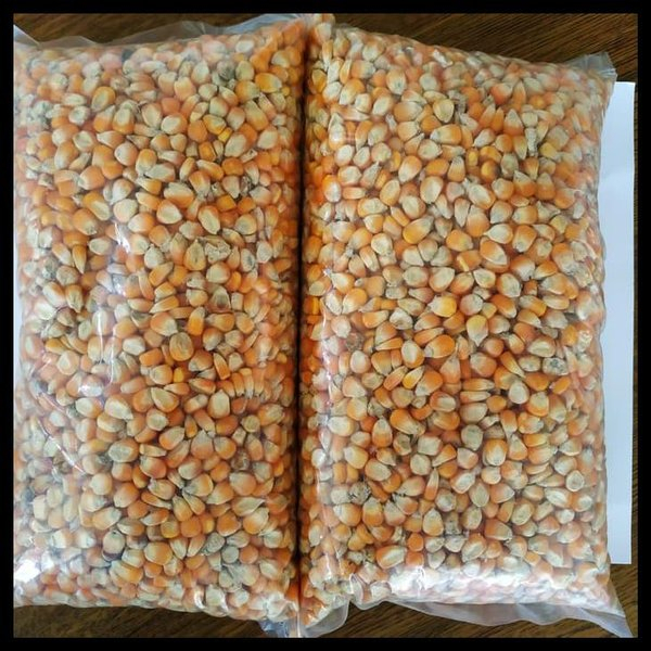 

1Kg Jagung besar kering kualitas super
