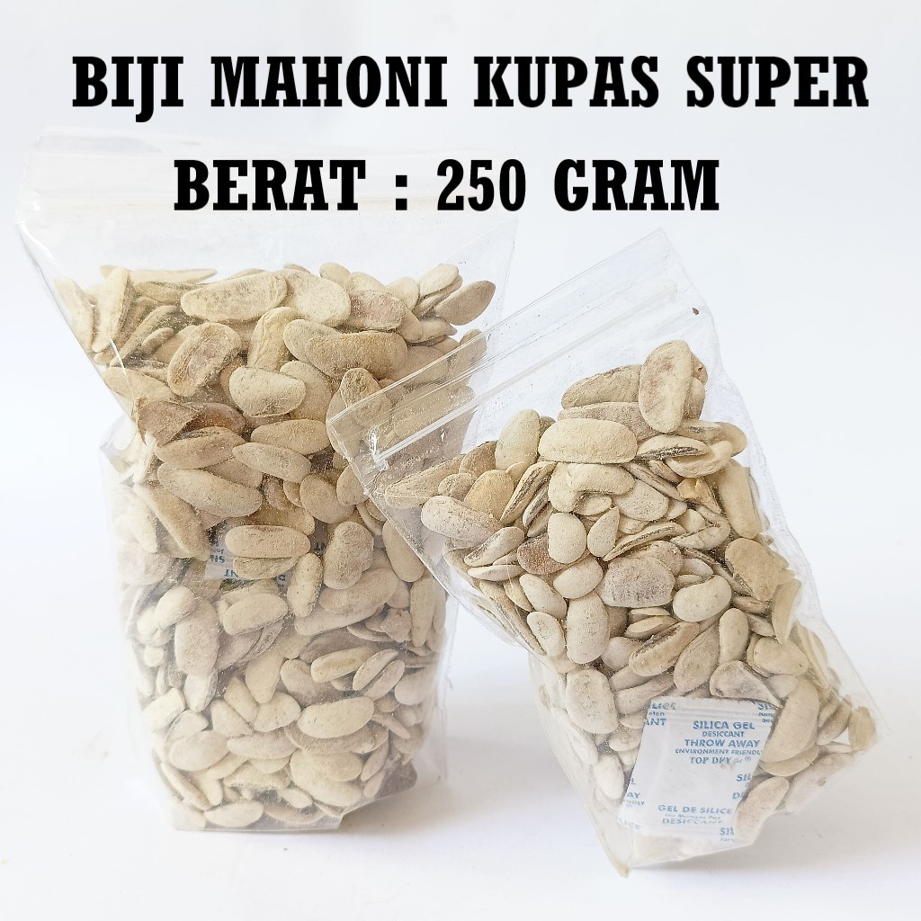 

250Gram Biji Mahoni Kupas Kering Kualitas Super