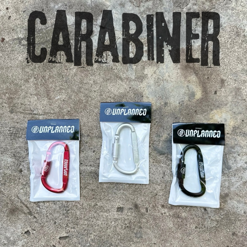 Carabiner Keychain Original