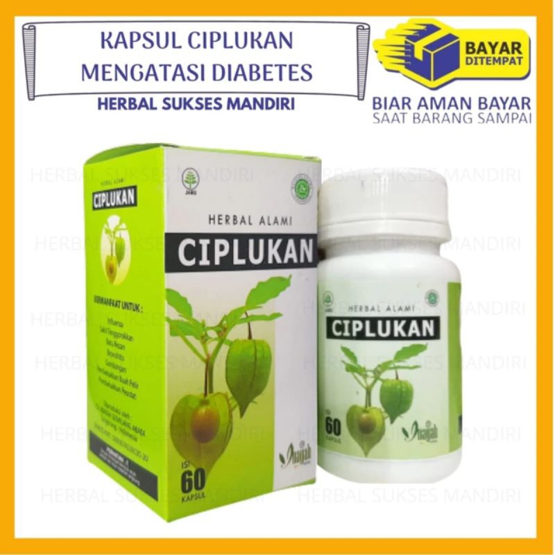 Kapsul Ciplukan
