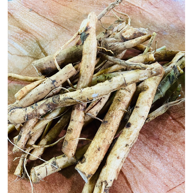 

Akar sangitan segar 1 kg organik-az