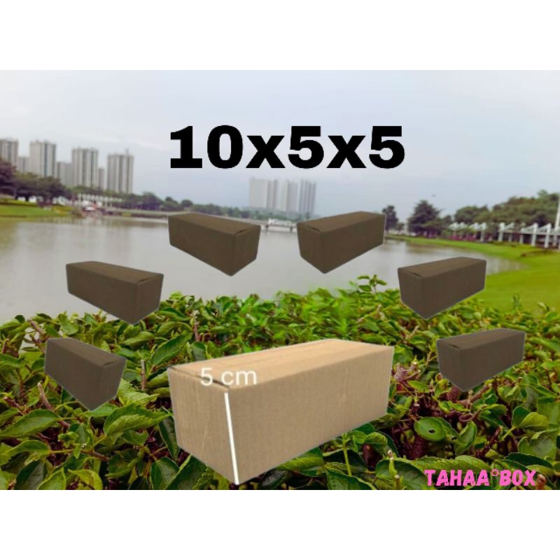 

kardus packing 10x5x5