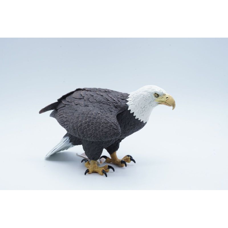 Eagle Elang Animal Figure Binatang Mainan Miniature Safari Ltd Pajangan Koleksi Edukasi Anak Wild Sa