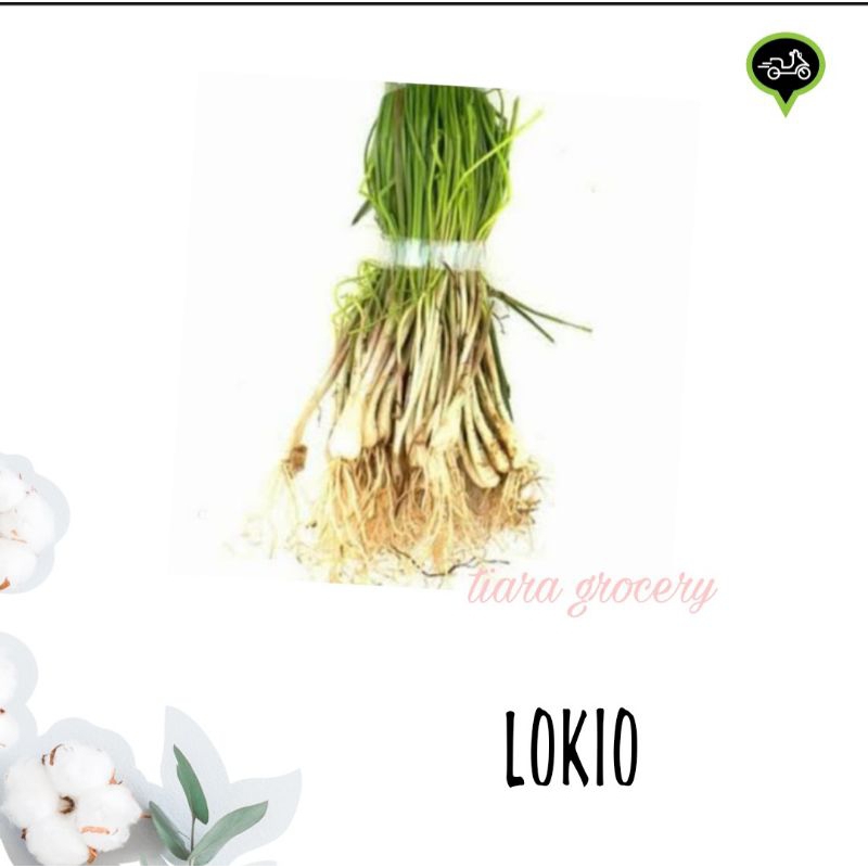 

Lokio