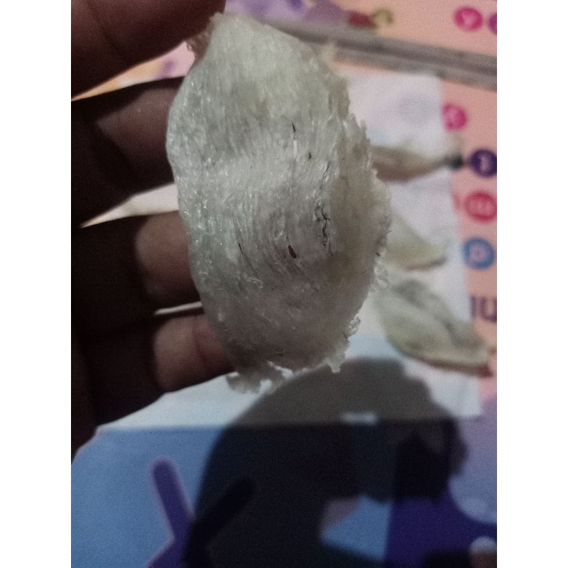 

Promo!! Sarang walet Bulu Ringan patahan dan sudut..1 gram