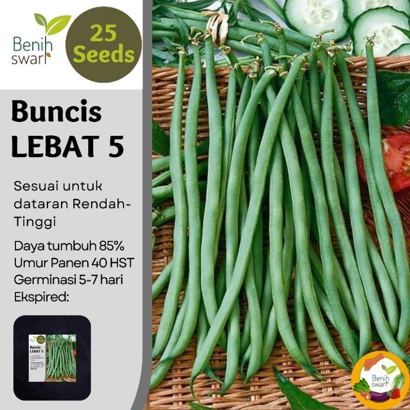 Benih Swari: (isi 25 butir) Benih Buncis LEBAT 5 Buah Banyak dan Panjang
