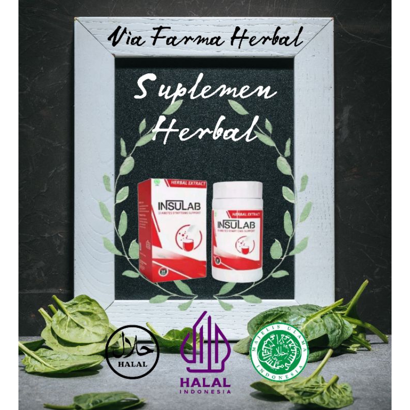 SUPLEMEN TUBUH - INSULAB - ATASI MASALAH PADA KESEHATAN DIABETES JUGA KOLESTEROL