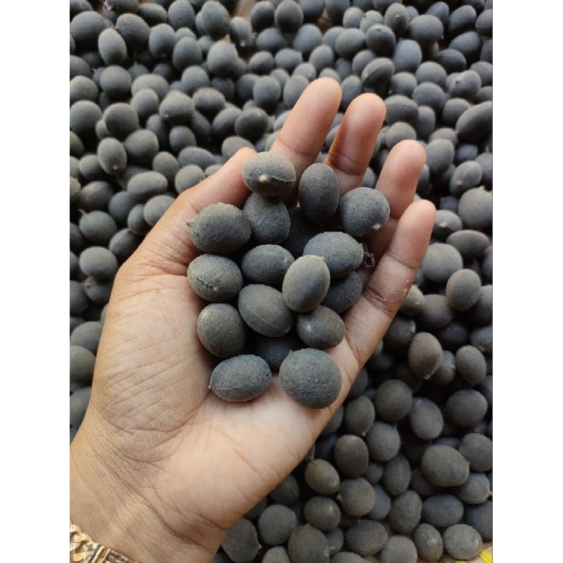 

Buah Keranji asam manis 1kg