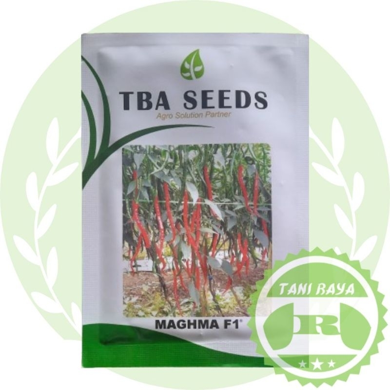 Bibit Cabe Maghma F1 10 gram