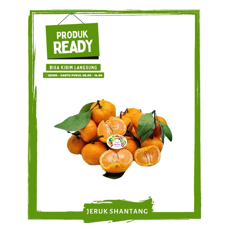 

Jeruk Santang / Shantang / Buah Buahan Segar Ready On Mallahrizwa