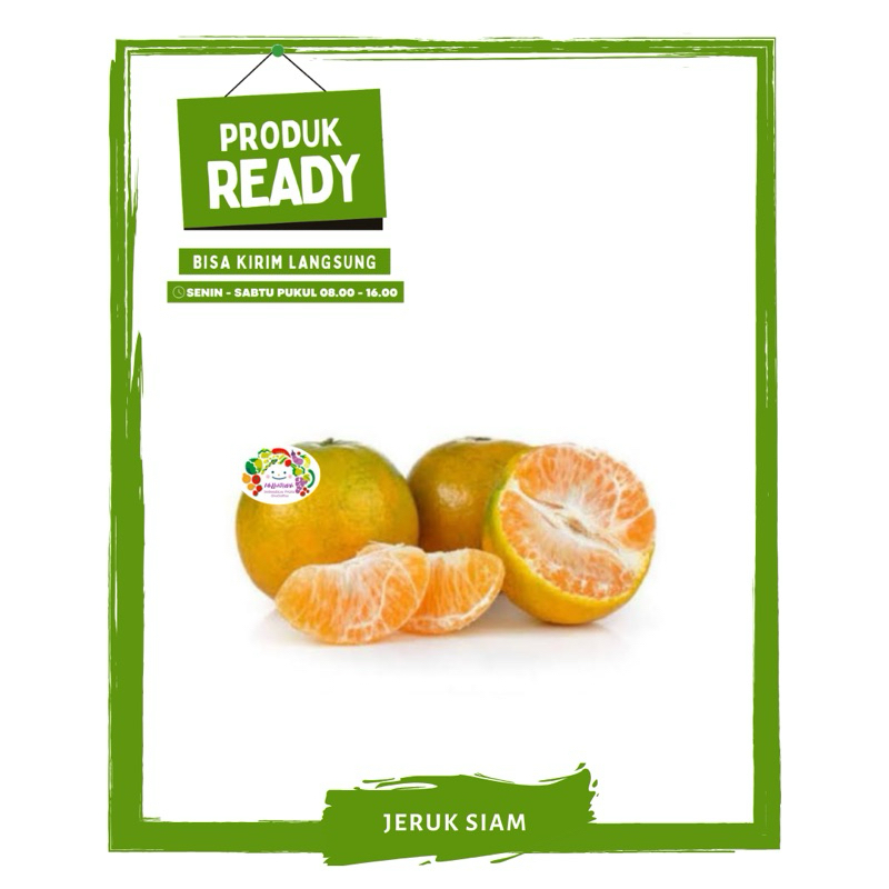 

Jeruk Siam / Siem / Buah Buahan Segar Ready On Mallahrizwa