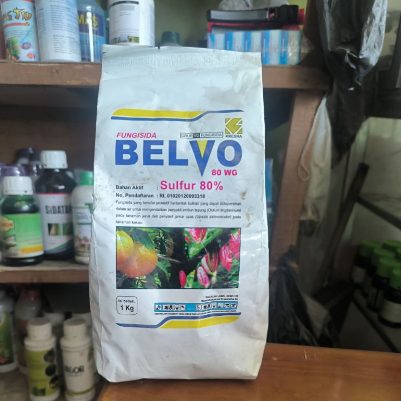 FUNGISIDA BELVO 80 WG 1 KG SULFUR
