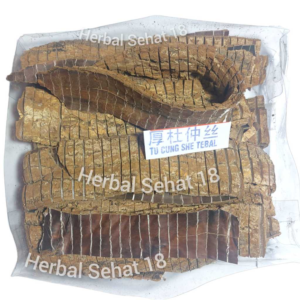 

50 gram (TEBAL) Hou Du Zhong 厚杜仲 Tu Chung - Cortex Eucommiae Ulmoidis