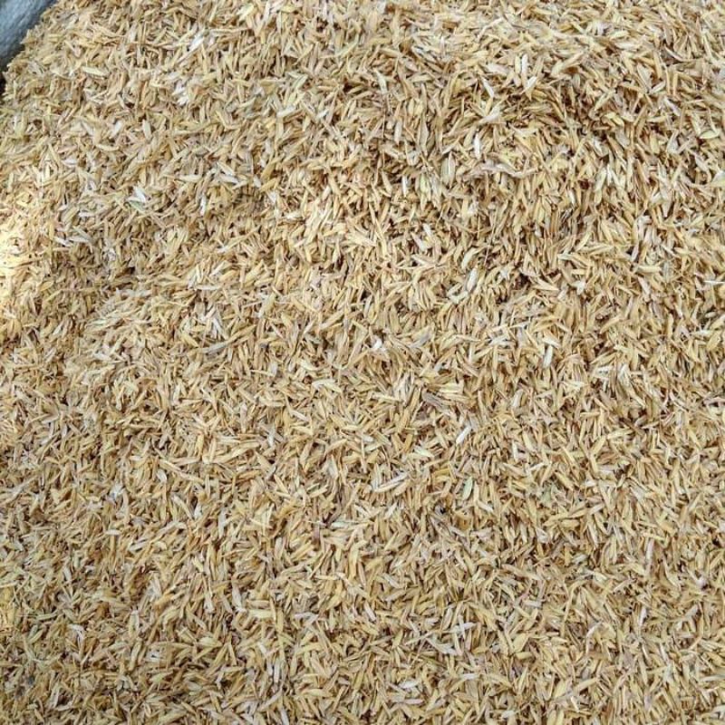 sekam padi ukuran karung 50kg