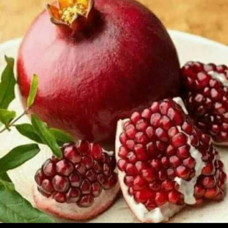 BIBIT DELIMA MERAH JUMBO BIJI LUNAK