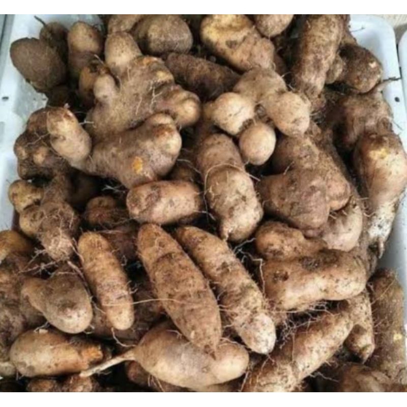 

ubi gembili / Bili makan an cas jaman nenek dulu..enak 500gram