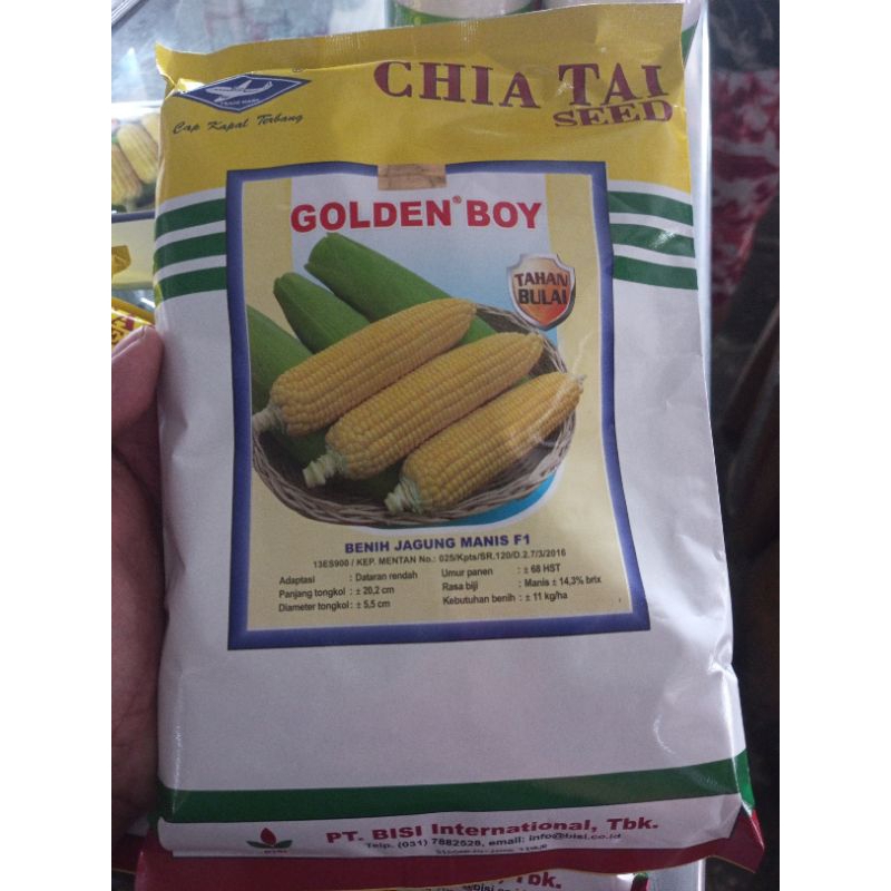 BENIH JAGUNG MANIS GOLDEN BOY, SWEET LADY, MASTER SWEET 500GRAM CAP KAPAL TERBANG