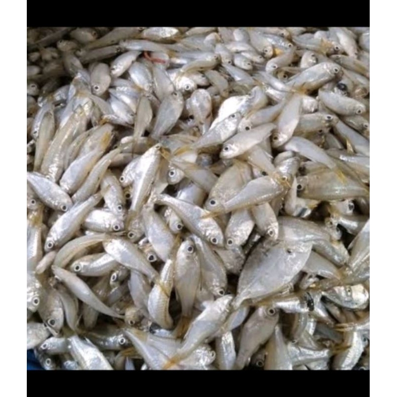 IKAN WADER SEGAR 1KG Tanpa Bumbu / dg bumbu kuning/marinasi/Crispy