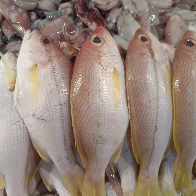 

IKAN EKOR KUNING -500GR- Frozen