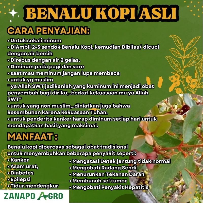 

1 KiloGram ,BENALU KOPI ASLI. OBAT HERBAL KANKER. sudah di keringkan.Pengiriman dari Medan.