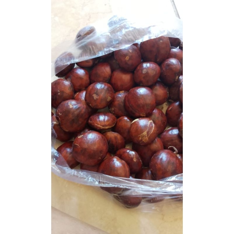 

JENGKOL ORGANIK @1kg fresh tua Punel asli dampit malang