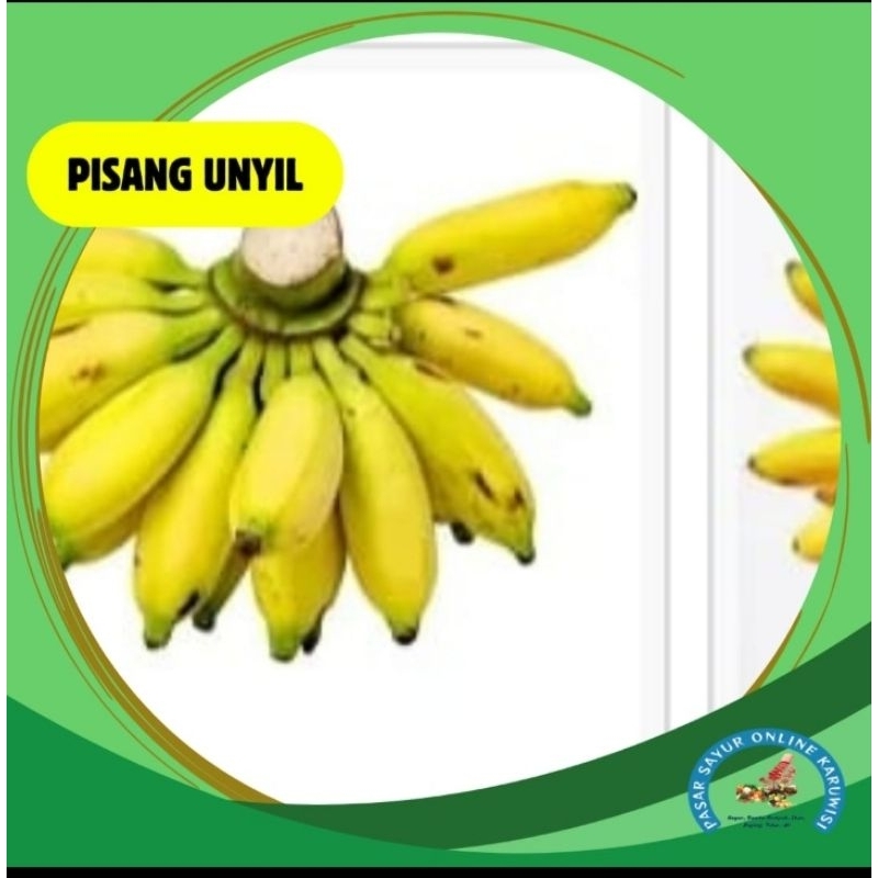 

pisang unyil murah