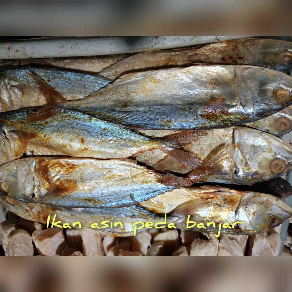 

Ikan Asin Peda Banjar Kualitas Terbaik No 1 Di Indonesia