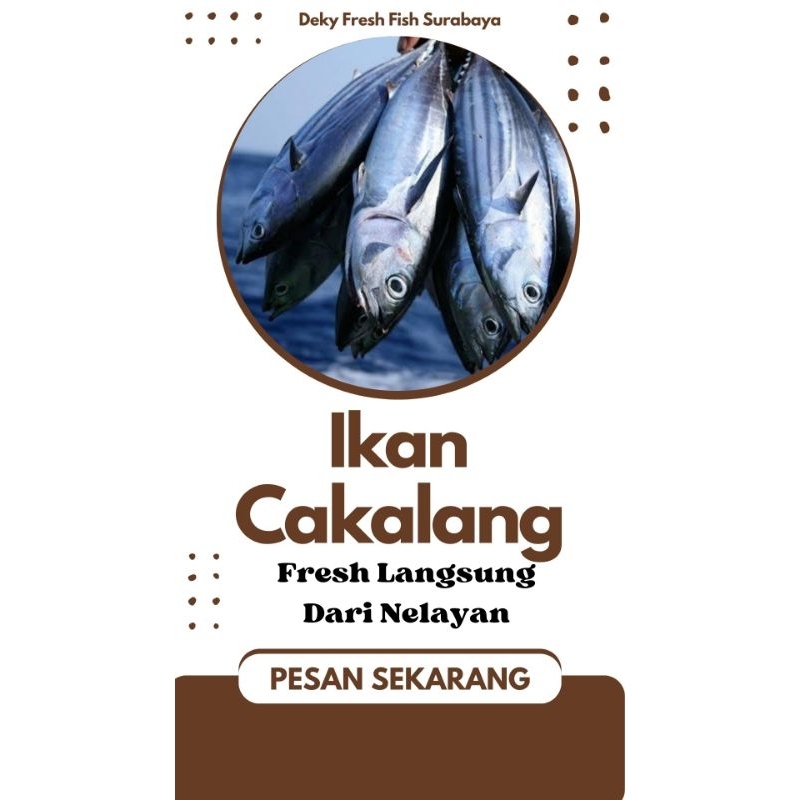 

Ikan Cakalang Segar 1 kg